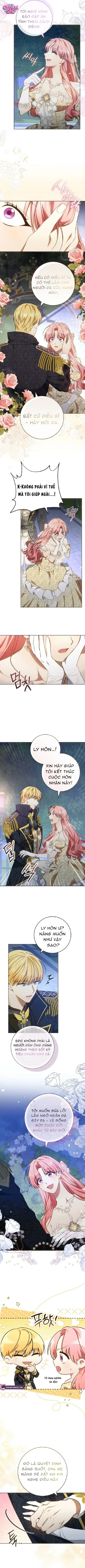 Người Chồng Bị Đánh Cắp - Chap 8 - Trang 4