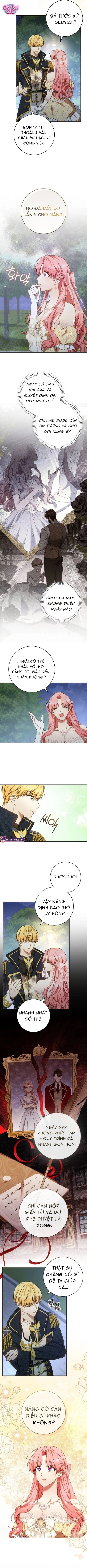 Người Chồng Bị Đánh Cắp - Chap 8 - Trang 5