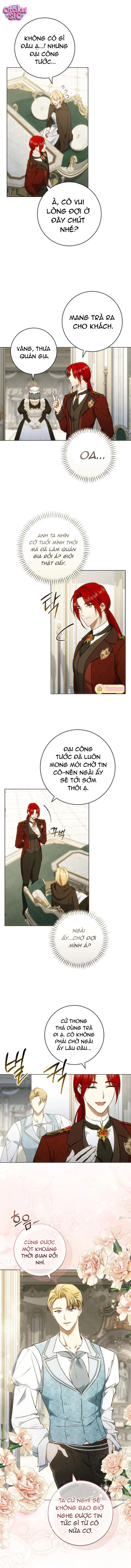 Người Chồng Bị Đánh Cắp - Chap 9 - Trang 4