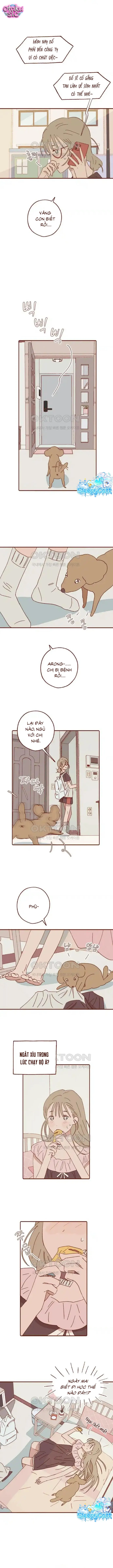 Nhật Kí Của Baba - Chap 8
