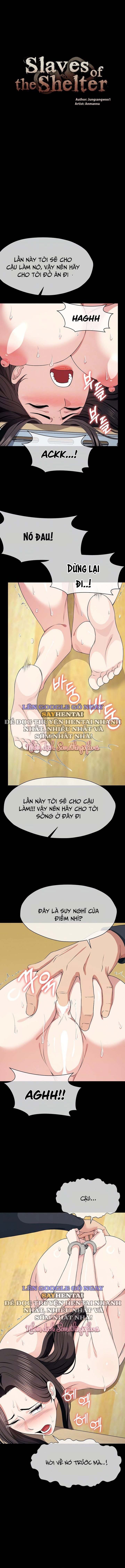 Nô Lệ Hầm Trú Ẩn - Chap 64