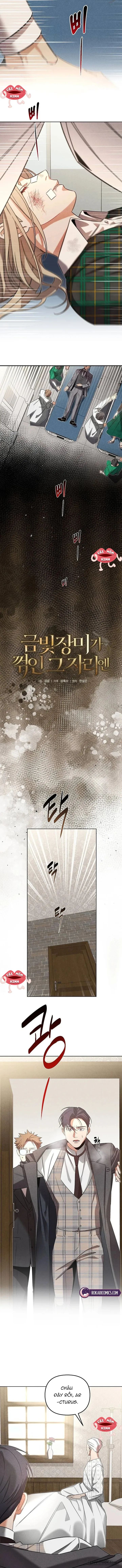 Nơi Đóa Hồng Vàng Úa Tàn - Chap 10 - Trang 2