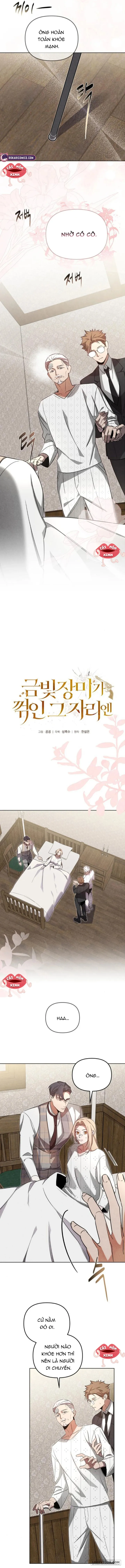 Nơi Đóa Hồng Vàng Úa Tàn - Chap 11 - Trang 2