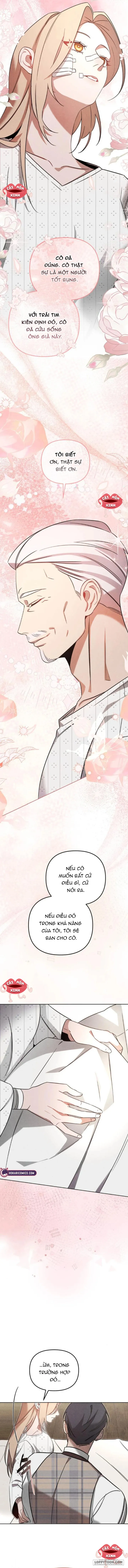 Nơi Đóa Hồng Vàng Úa Tàn - Chap 11 - Trang 4