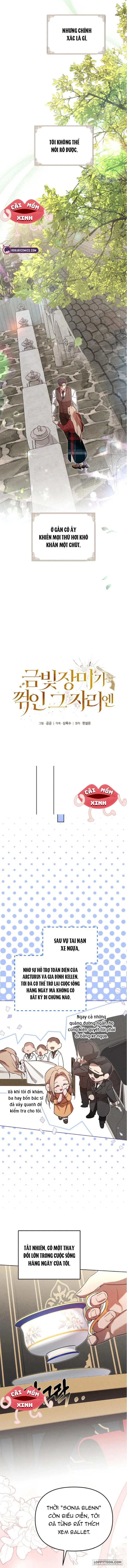 Nơi Đóa Hồng Vàng Úa Tàn - Chap 13 - Trang 2