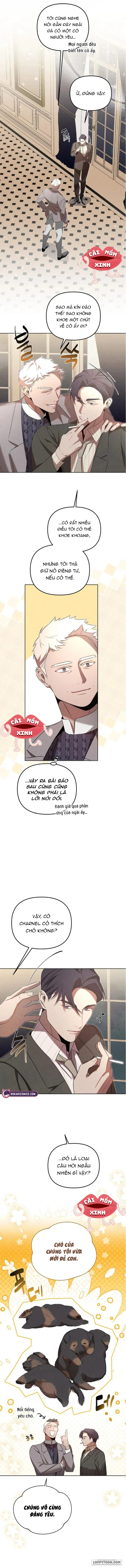 Nơi Đóa Hồng Vàng Úa Tàn - Chap 13 - Trang 9