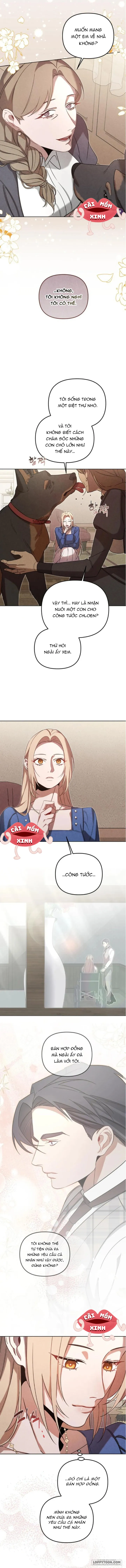 Nơi Đóa Hồng Vàng Úa Tàn - Chap 14 - Trang 8