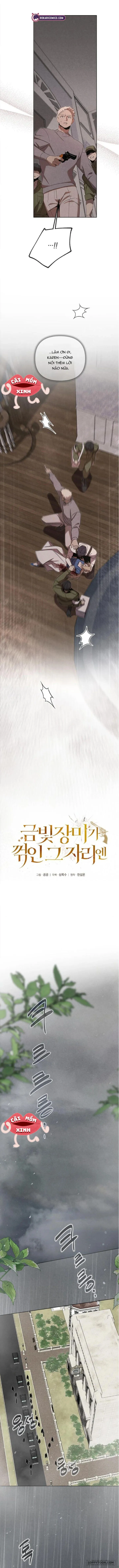 Nơi Đóa Hồng Vàng Úa Tàn - Chap 16 - Trang 2