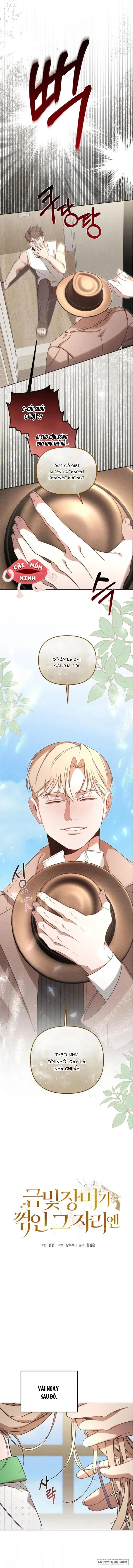 Nơi Đóa Hồng Vàng Úa Tàn - Chap 17 - Trang 2