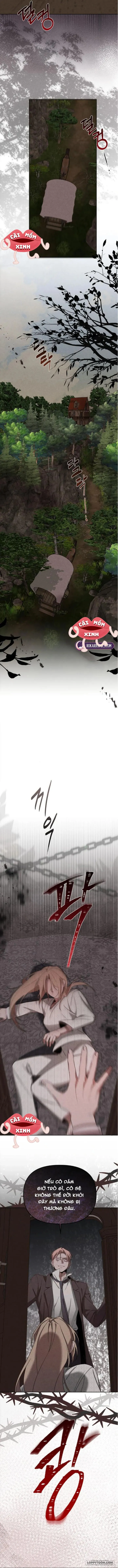 Nơi Đóa Hồng Vàng Úa Tàn - Chap 20 - Trang 1