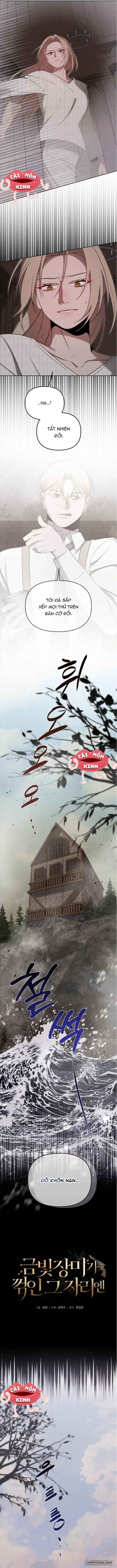 Nơi Đóa Hồng Vàng Úa Tàn - Chap 20 - Trang 3