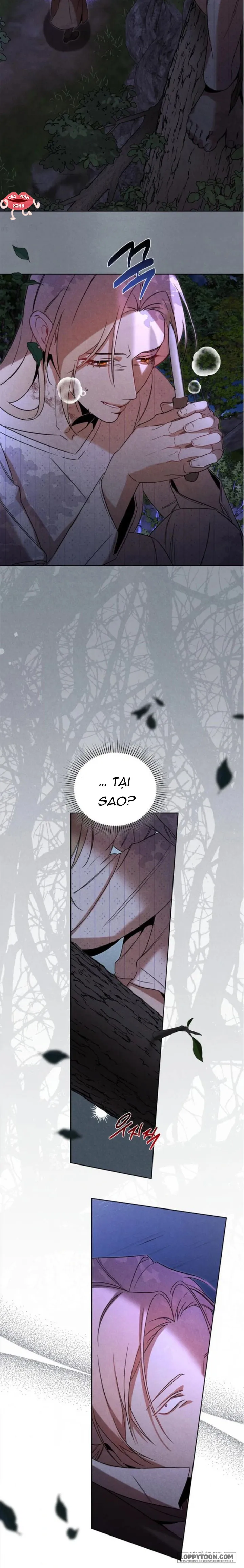 Nơi Đóa Hồng Vàng Úa Tàn - Chap 21 - Trang 23