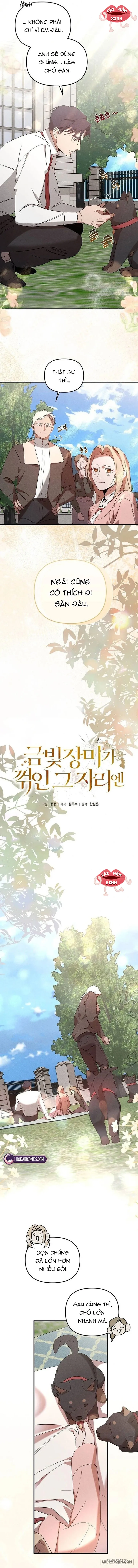 Nơi Đóa Hồng Vàng Úa Tàn - Chap 25 - Trang 2