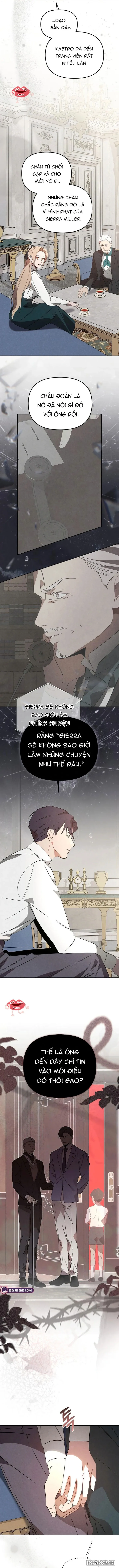 Nơi Đóa Hồng Vàng Úa Tàn - Chap 29 - Trang 7