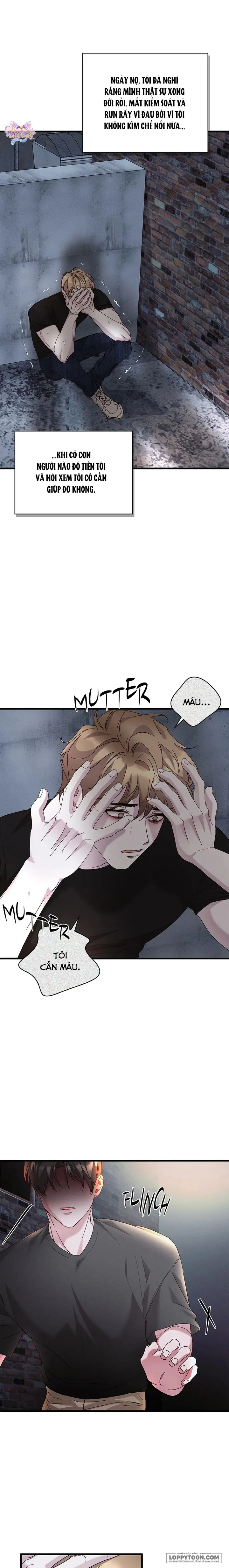 Nụ Hôn Máu - Chap 53 - Trang 6