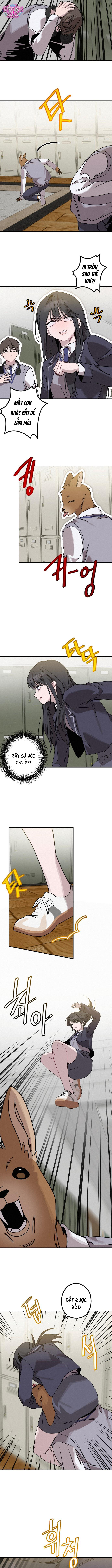 Nữ Thần May Mắn - Chap 7
