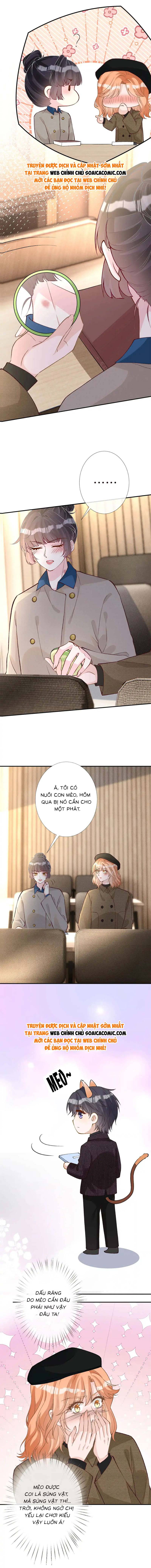 Ôm Khẩn Tiểu Mã Giáp Của Tôi - Chap Ôm Khẩn Tiểu Mã [...] – Chap 267 - Trang 3