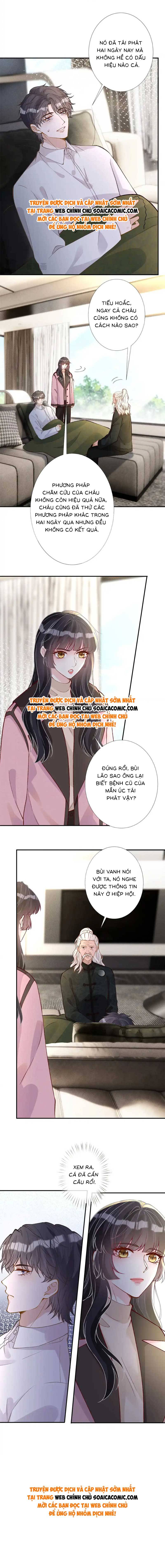 Ôm Khẩn Tiểu Mã Giáp Của Tôi - Chap Ôm Khẩn Tiểu Mã [...] – Chap 270 - Trang 6