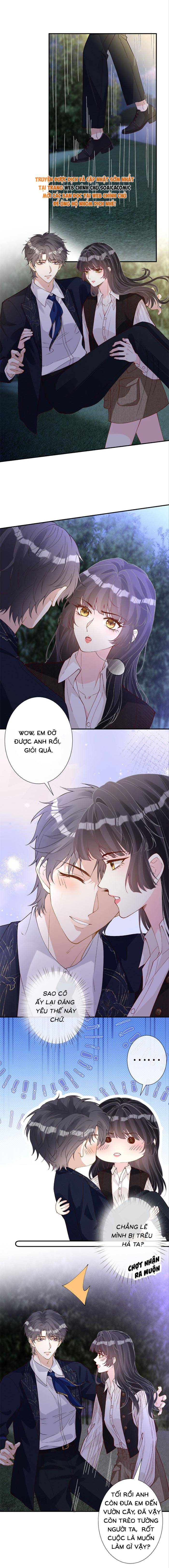 Ôm Khẩn Tiểu Mã Giáp Của Tôi - Chap Ôm Khẩn Tiểu Mã [...] – Chap 398 - Trang 2
