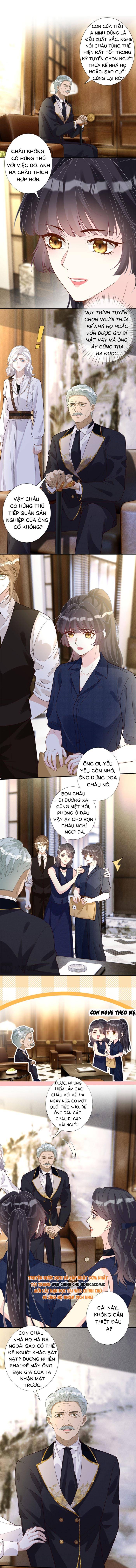 Ôm Khẩn Tiểu Mã Giáp Của Tôi - Chap Ôm Khẩn Tiểu Mã [...] – Chap 404 - Trang 4