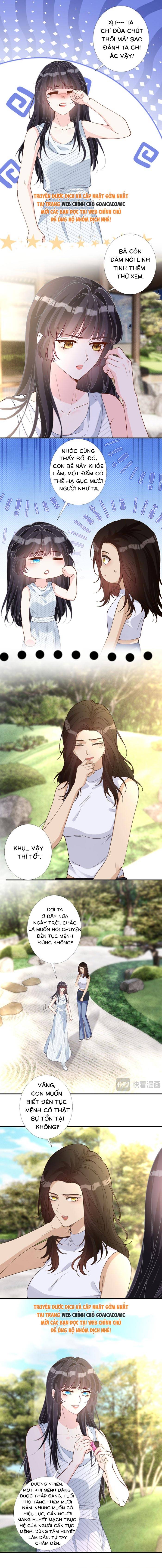 Ôm Khẩn Tiểu Mã Giáp Của Tôi - Chap Ôm Khẩn Tiểu Mã [...] – Chap 421 - Trang 1