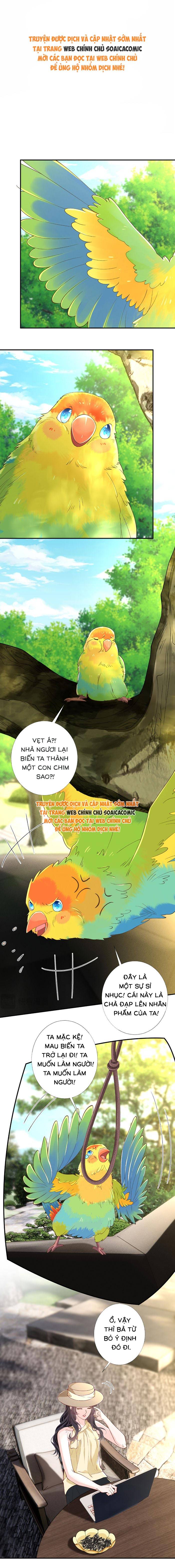 Ôm Khẩn Tiểu Mã Giáp Của Tôi - Chap Ôm Khẩn Tiểu Mã [...] – Chap 422