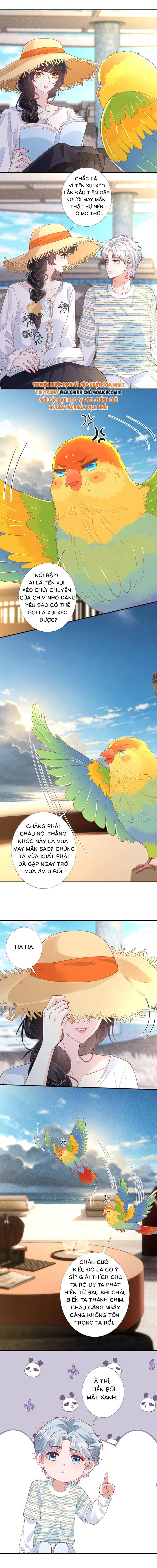 Ôm Khẩn Tiểu Mã Giáp Của Tôi - Chap Ôm Khẩn Tiểu Mã [...] – Chap 424