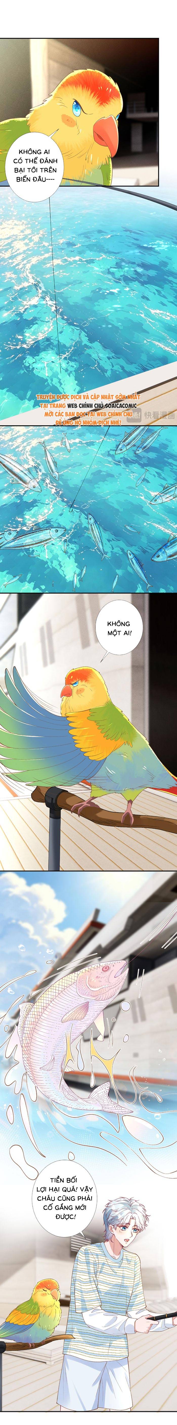 Ôm Khẩn Tiểu Mã Giáp Của Tôi - Chap Ôm Khẩn Tiểu Mã [...] – Chap 424
