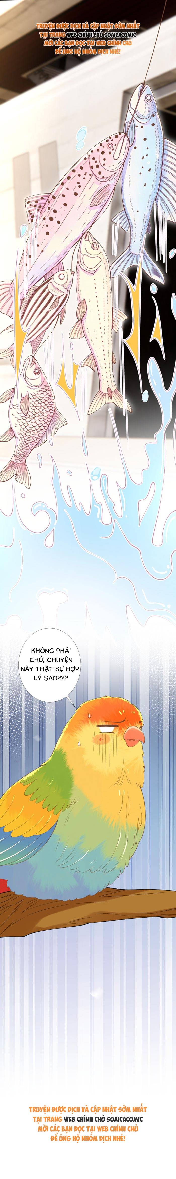 Ôm Khẩn Tiểu Mã Giáp Của Tôi - Chap Ôm Khẩn Tiểu Mã [...] – Chap 424