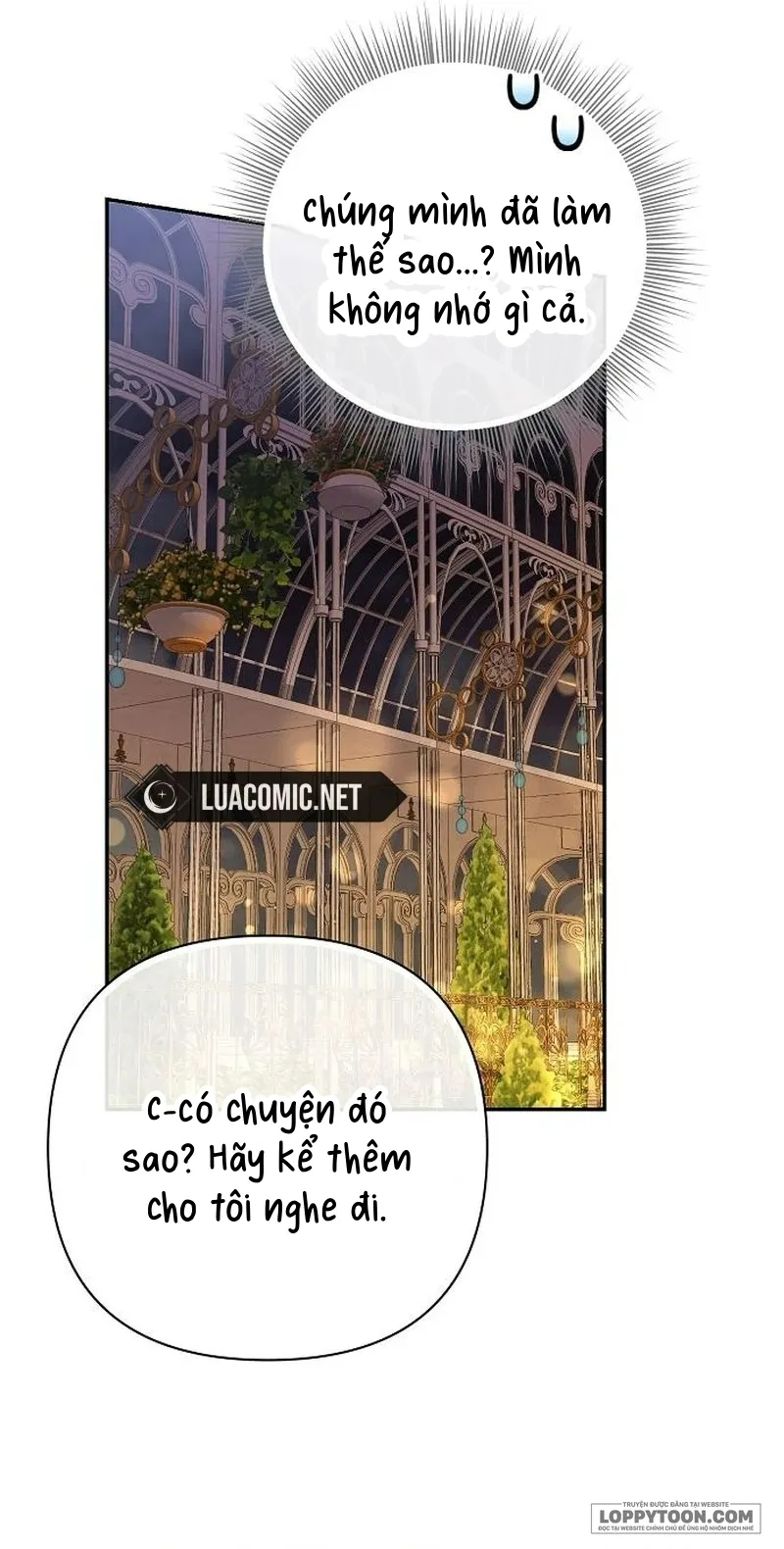 Presepe Bên Ngoài Chiếc Lồng - Chap 28