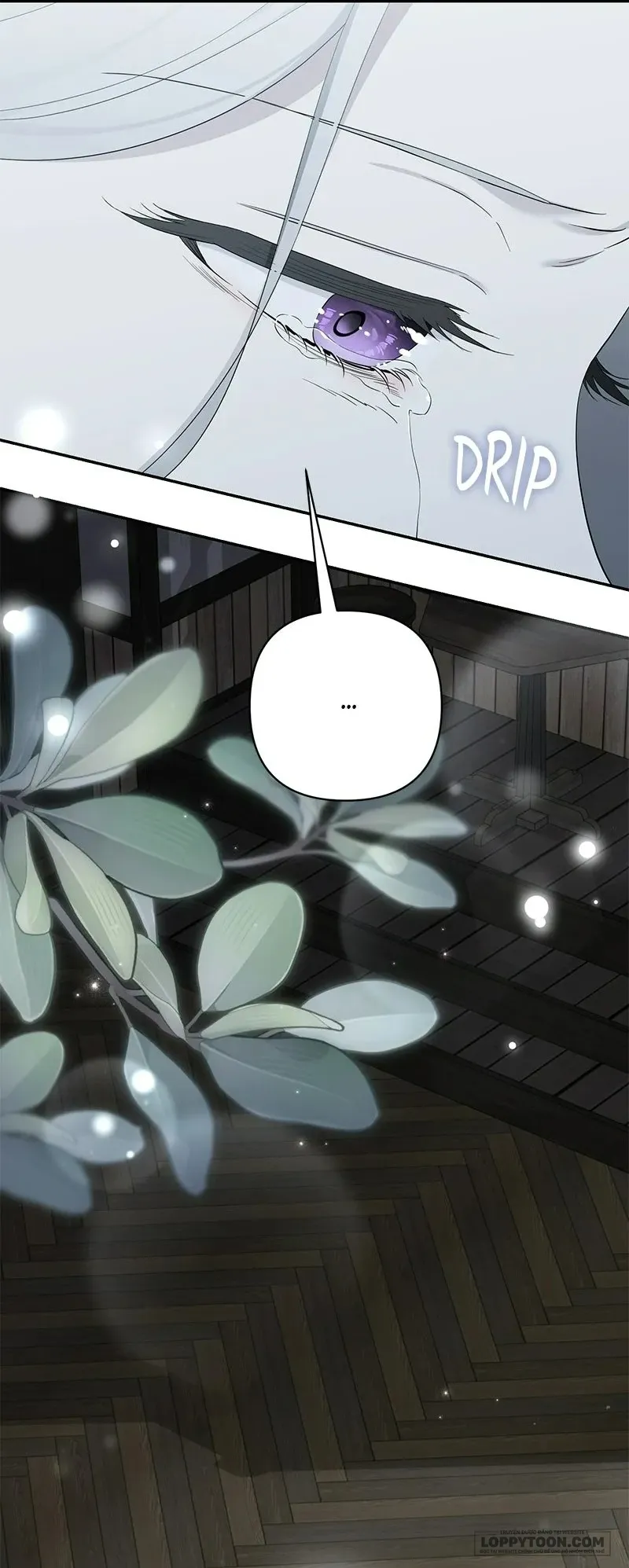 Presepe Bên Ngoài Chiếc Lồng - Chap 43 - Trang 13