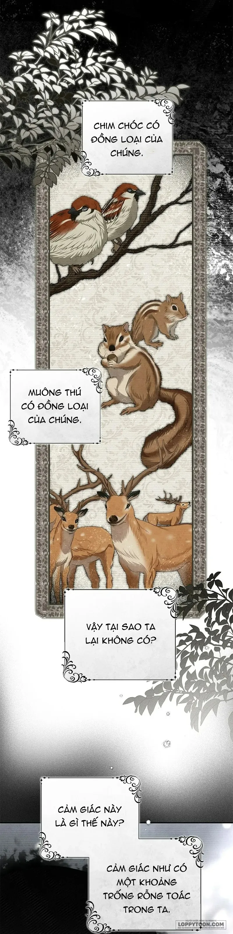 Presepe Bên Ngoài Chiếc Lồng - Chap 43 - Trang 50