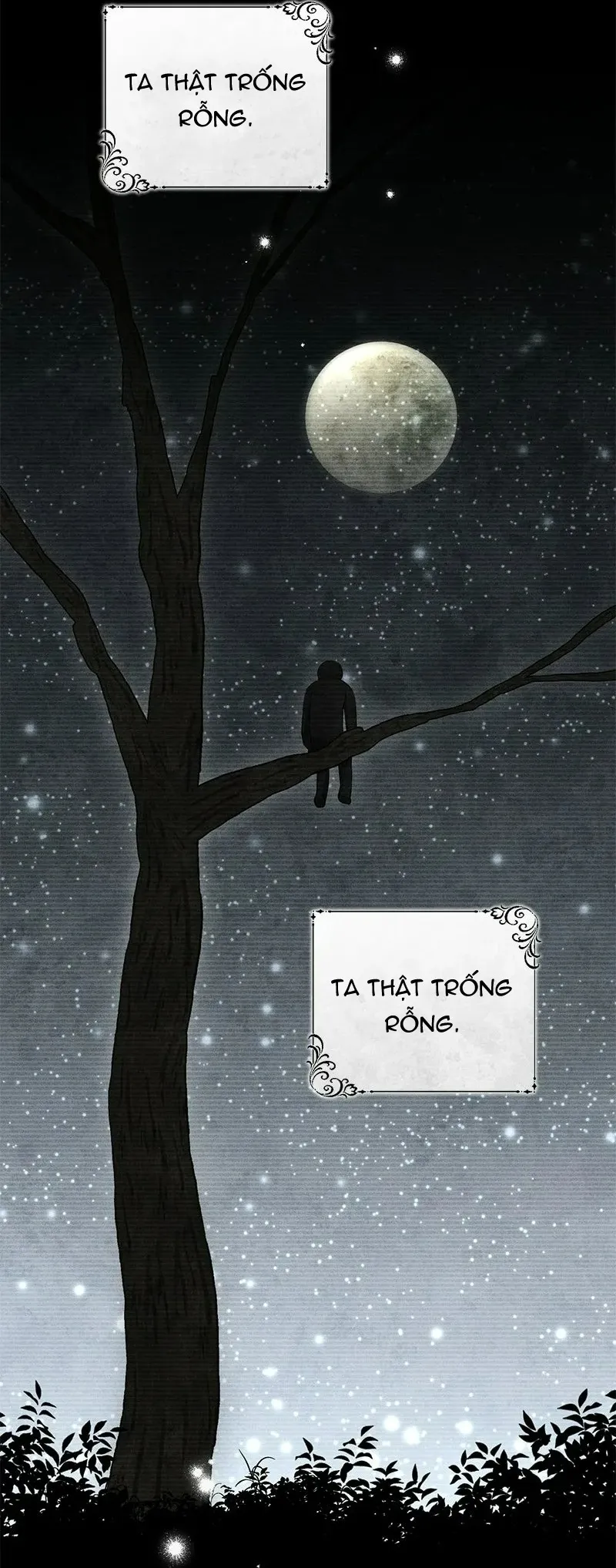 Presepe Bên Ngoài Chiếc Lồng - Chap 43 - Trang 52
