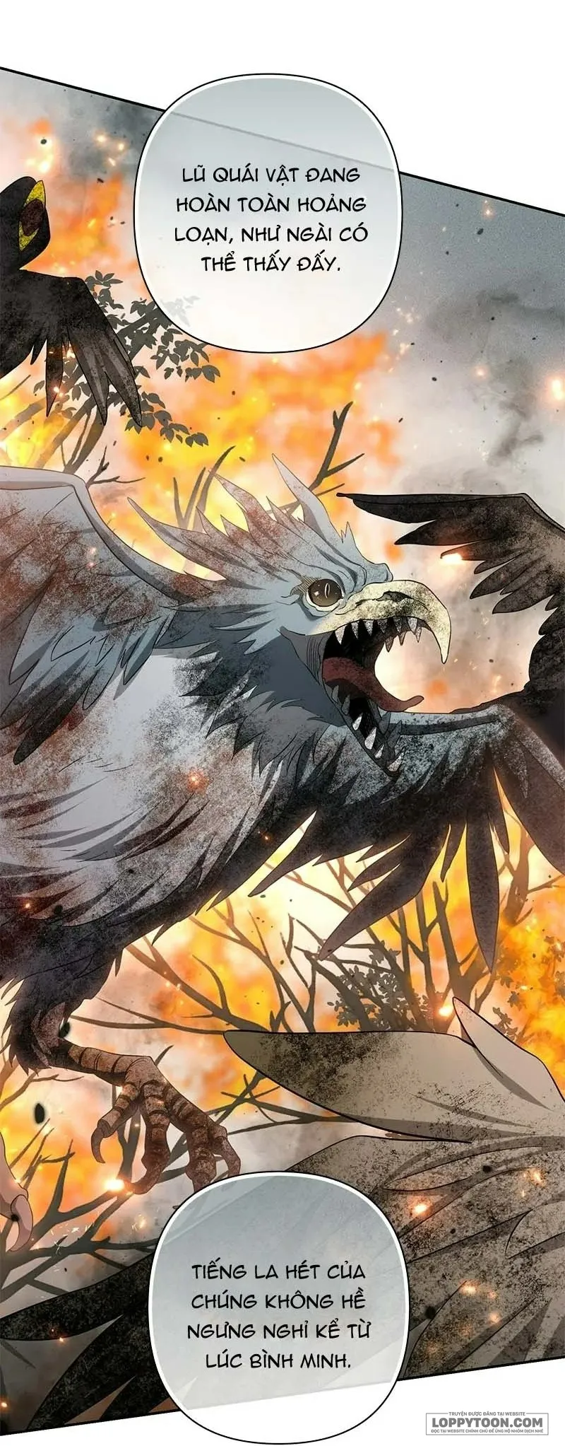 Presepe Bên Ngoài Chiếc Lồng - Chap 46 - Trang 50