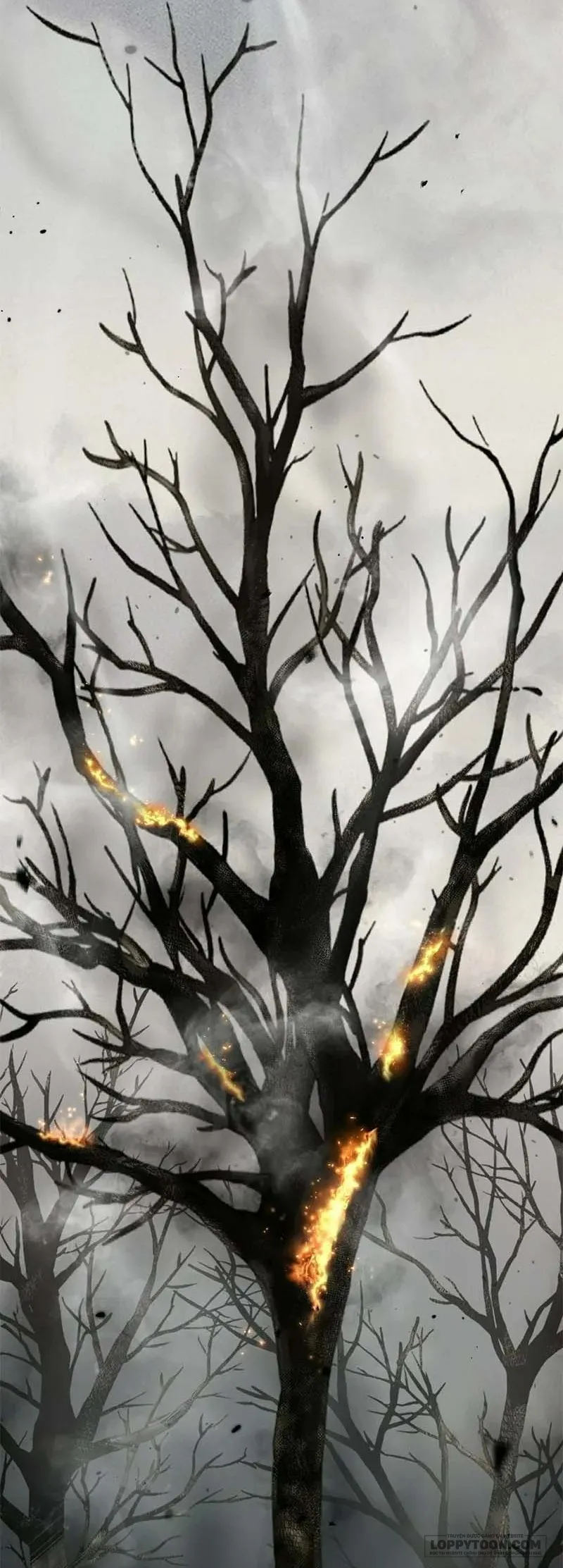 Presepe Bên Ngoài Chiếc Lồng - Chap 46 - Trang 72