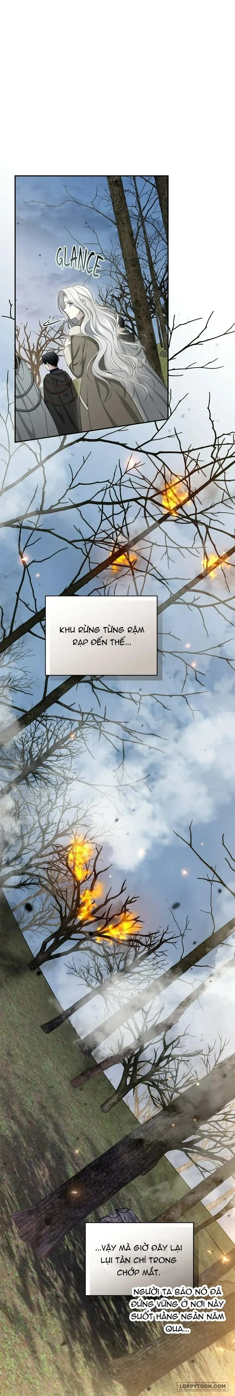 Presepe Bên Ngoài Chiếc Lồng - Chap 47 - Trang 3