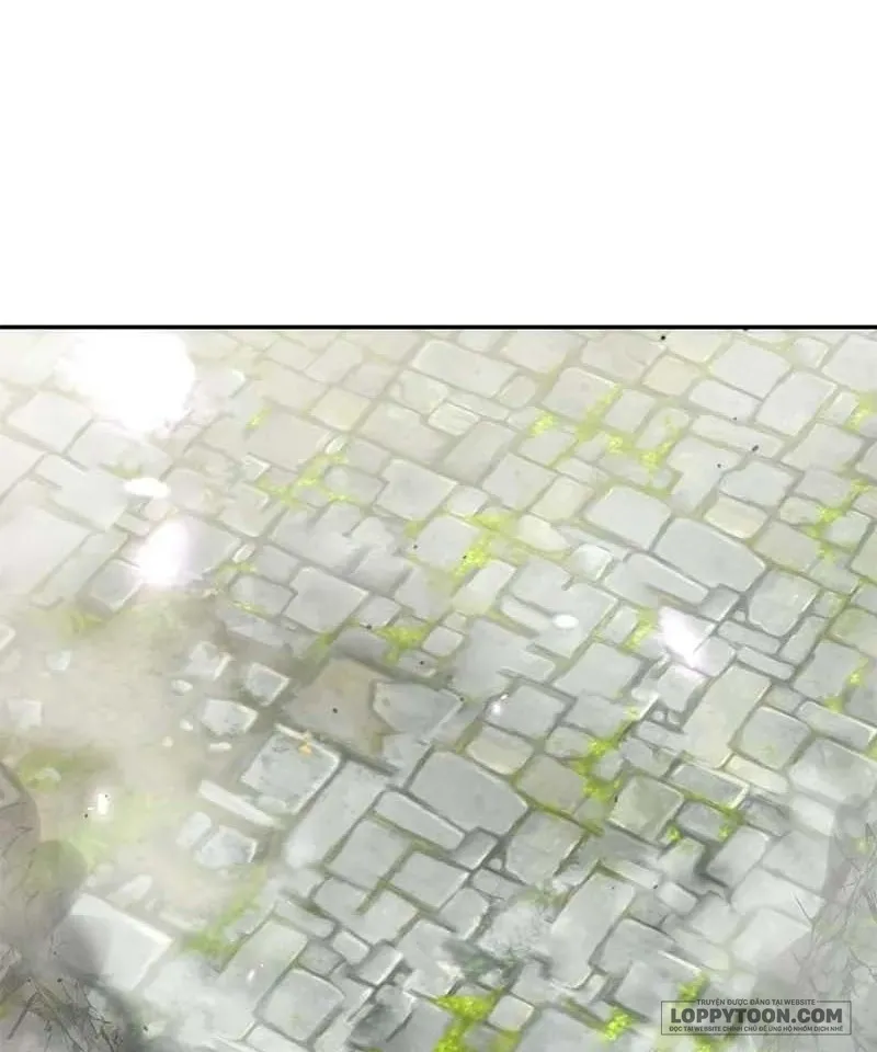 Presepe Bên Ngoài Chiếc Lồng - Chap 48 - Trang 40