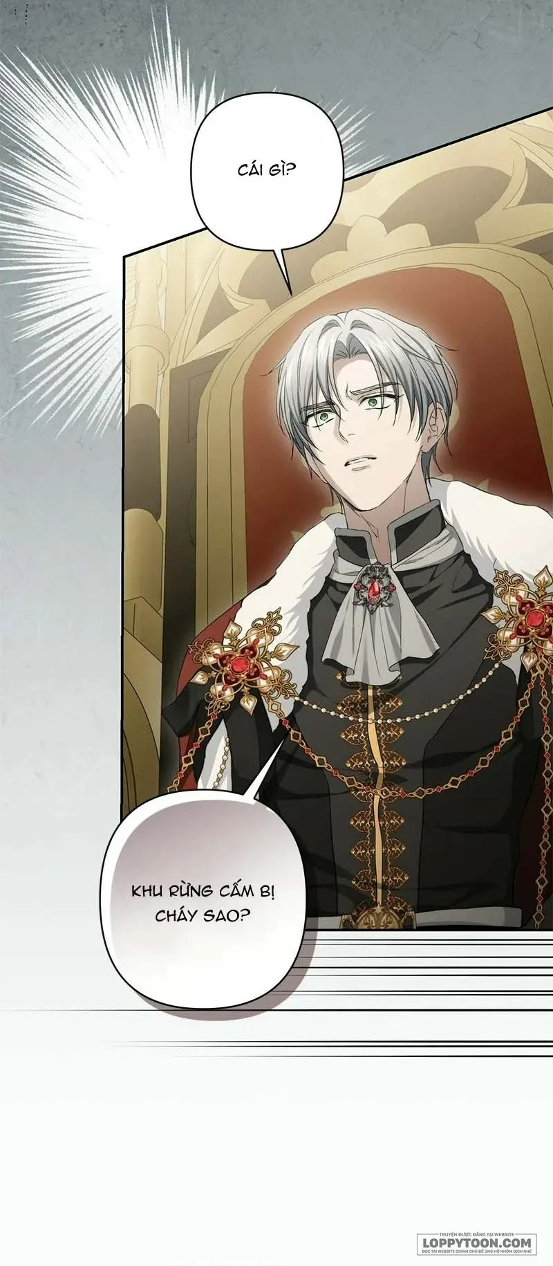 Presepe Bên Ngoài Chiếc Lồng - Chap 49 - Trang 31