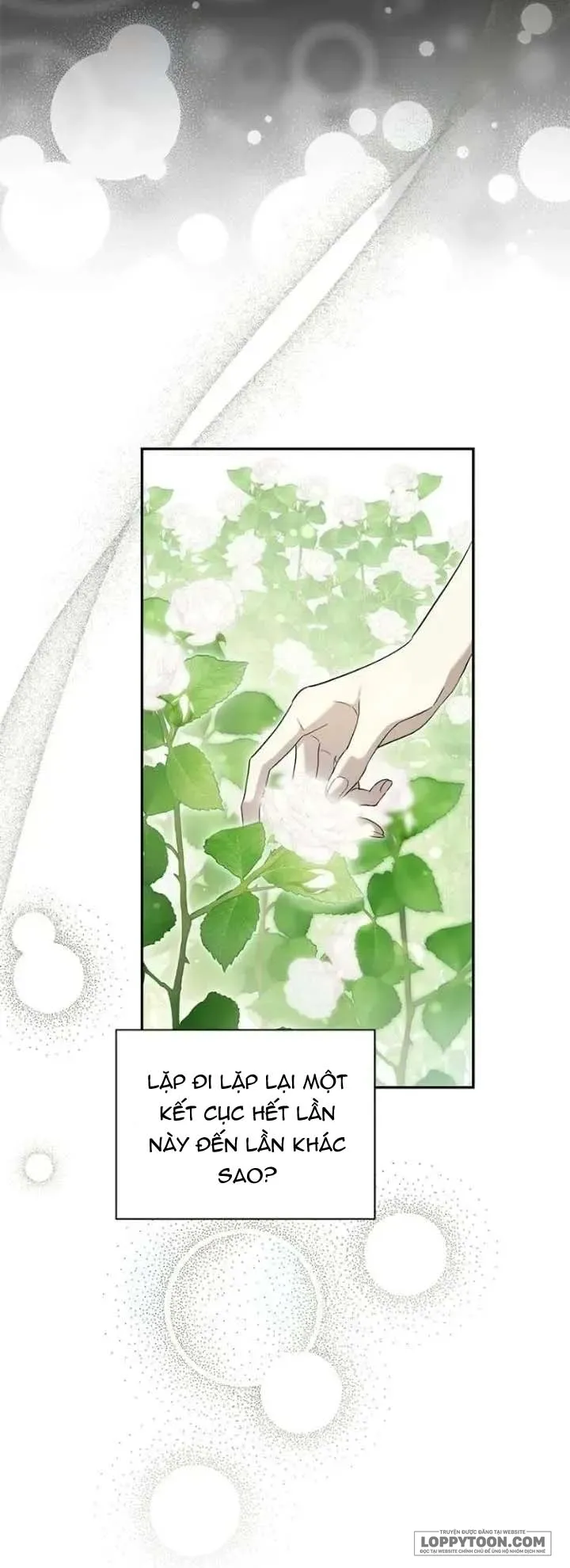 Presepe Bên Ngoài Chiếc Lồng - Chap 52 - Trang 35