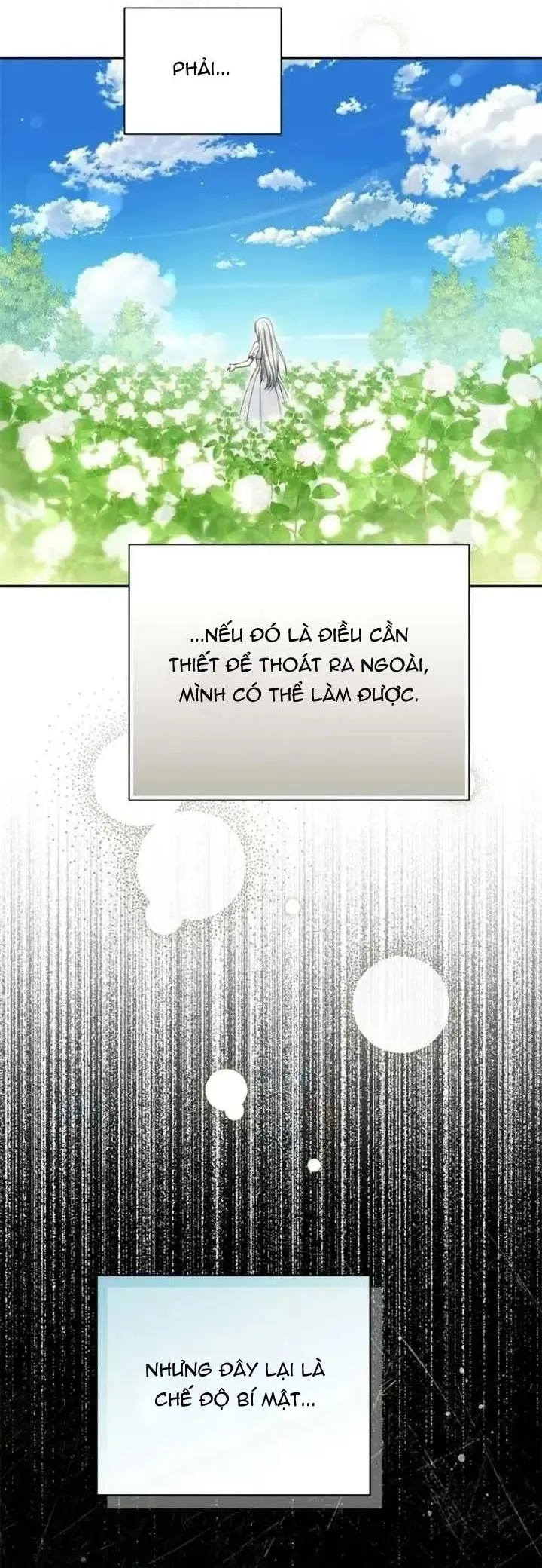Presepe Bên Ngoài Chiếc Lồng - Chap 52 - Trang 36