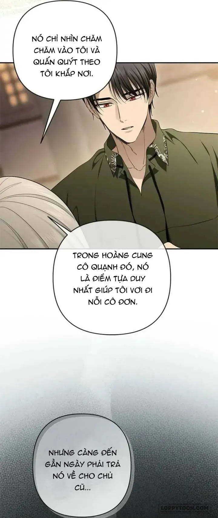 Presepe Bên Ngoài Chiếc Lồng - Chap 54 - Trang 34