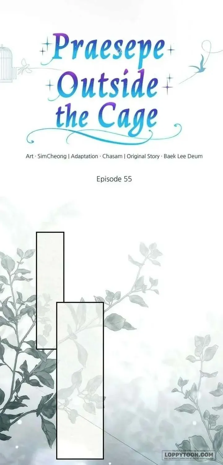 Presepe Bên Ngoài Chiếc Lồng - Chap 55 - Trang 15