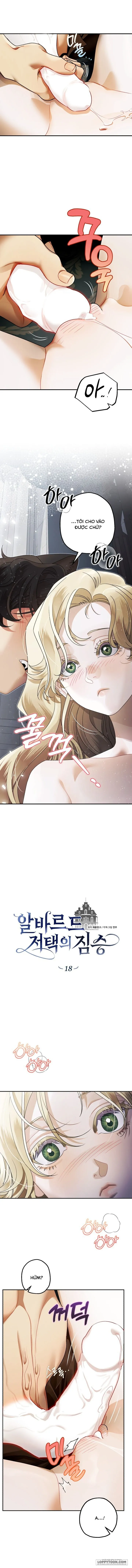 Quái Thú Ở Dinh Thự Albard - Chap 18 - 🔞🔞🔞🔞 - Trang 0