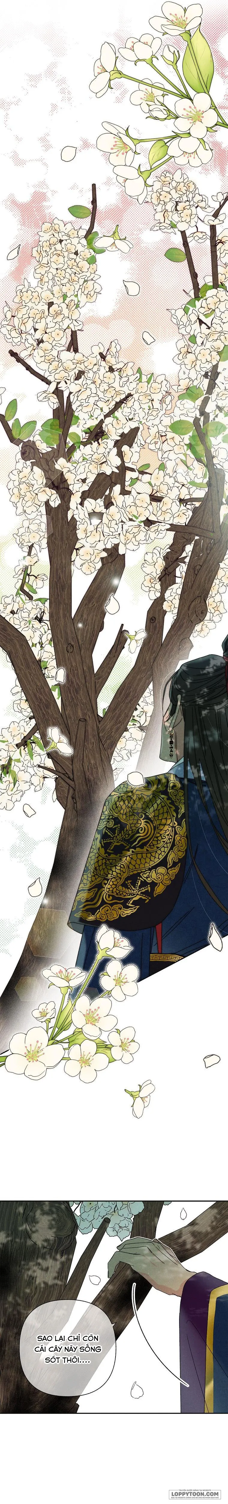 Quốc Hôn - Chap 13 - Trang 1