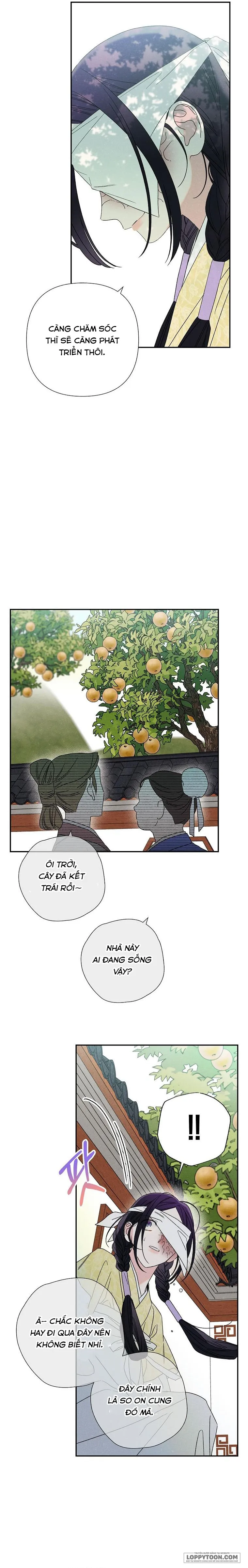 Quốc Hôn - Chap 14 - Trang 2