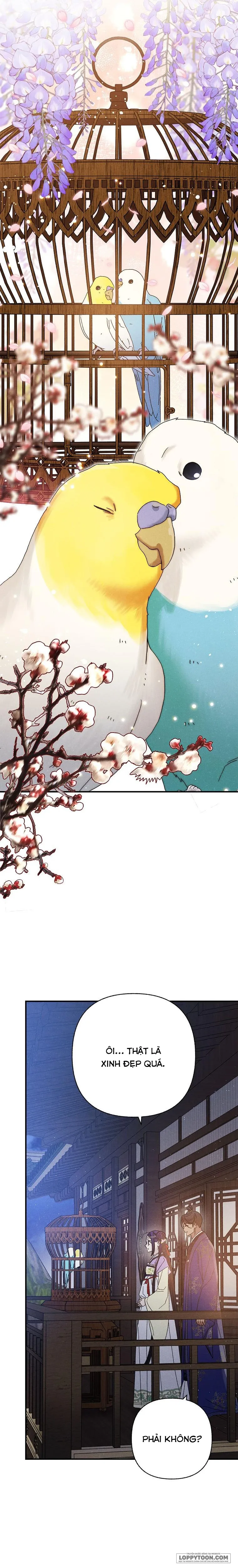 Quốc Hôn - Chap 55 - Trang 12
