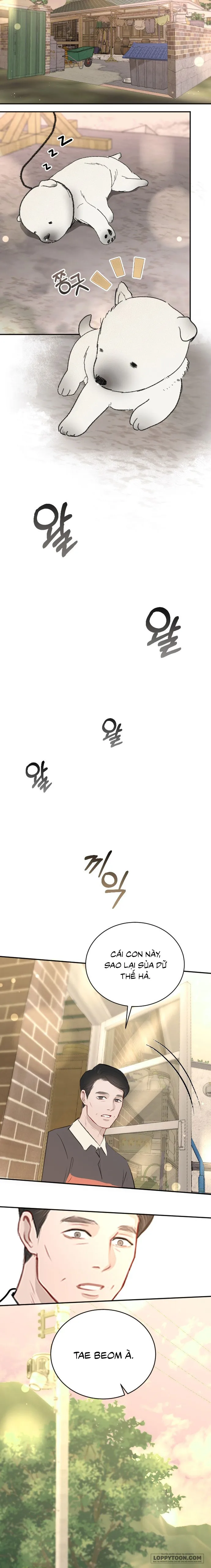 Quyền Lực Của Thư Ký - Chap 51 - Trang 10