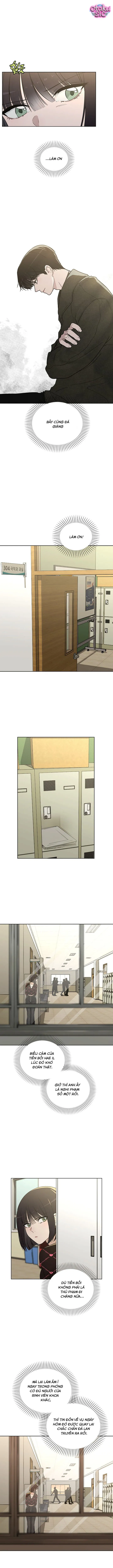 Review tình yêu - Chap 21 - Trang 8