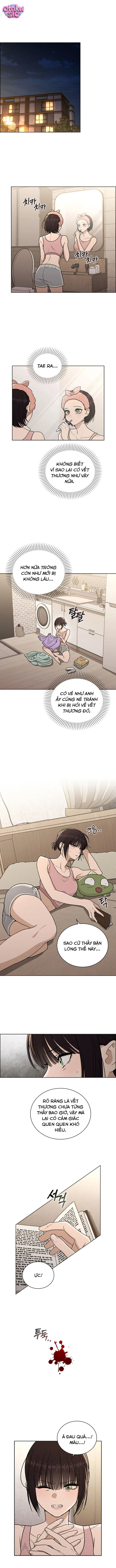 Review tình yêu - Chap 54 - Trang 8