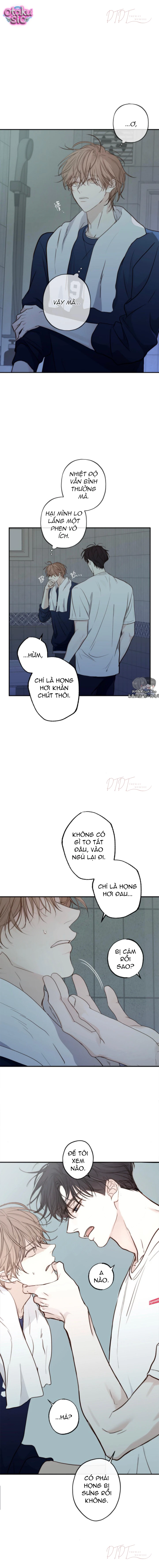 Sahan - Chap 11 - Trang 6